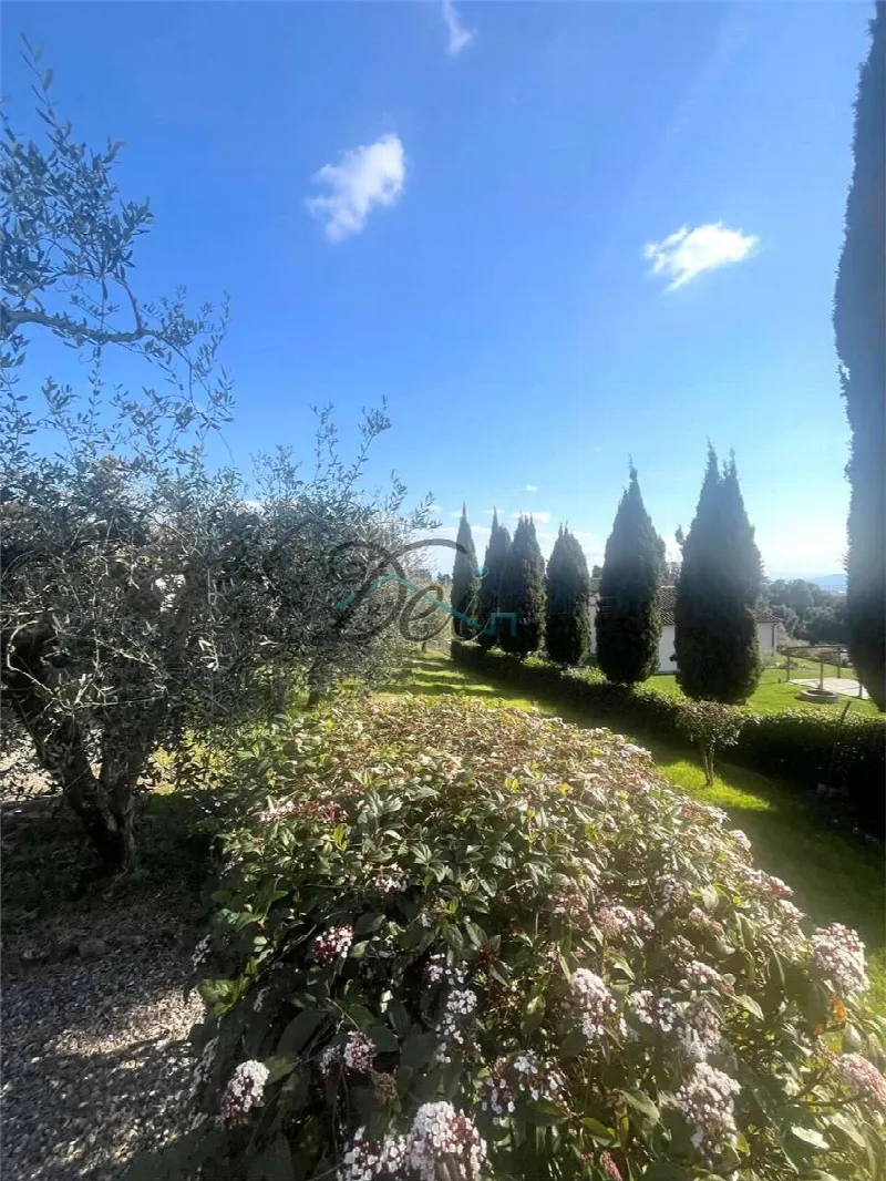 Villa in vendita a Capannori - foto 5