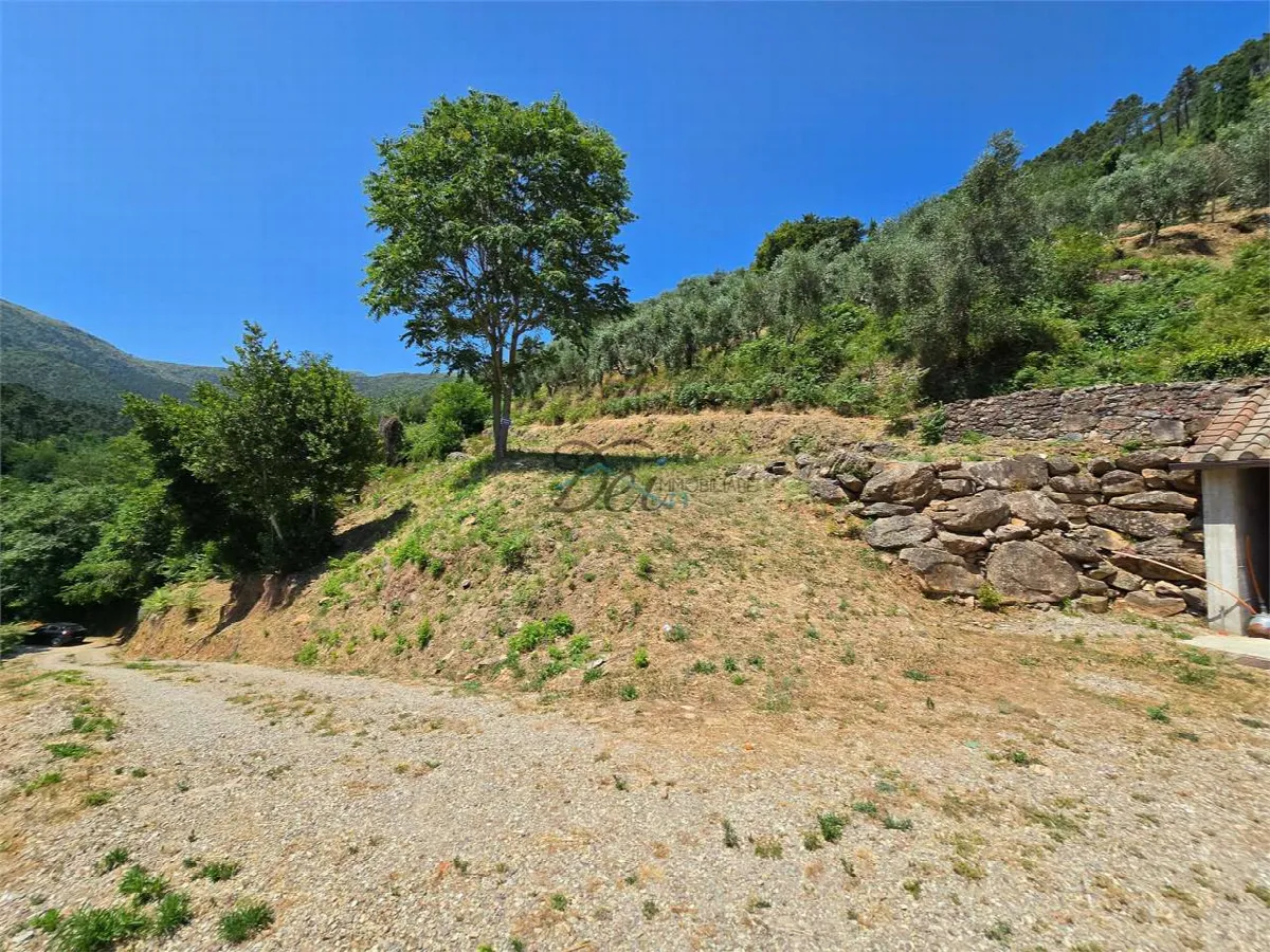 Rustico/Casale in vendita a Capannori - foto 5