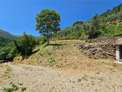 Rustico/Casale in vendita a Capannori - foto 5