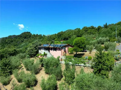 Rustico/Casale in vendita a Borgo a Mozzan... - foto 2