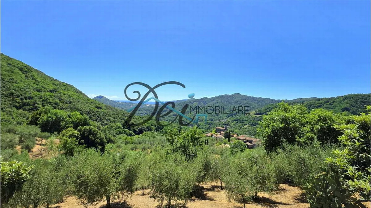 Rustico/Casale in vendita a Borgo a Mozzano - foto 3