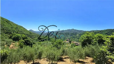 Rustico/Casale in vendita a Borgo a Mozzan... - foto 3