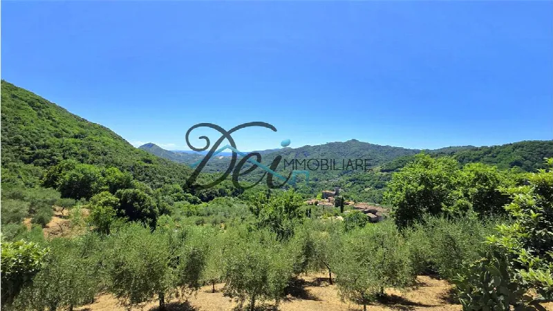 Rustico/Casale in vendita a Borgo a Mozzano - foto 3