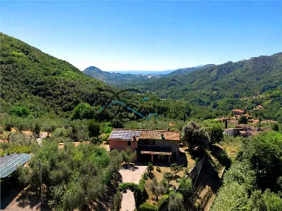 Rustico/Casale in vendita a Borgo a Mozzan... - foto 6