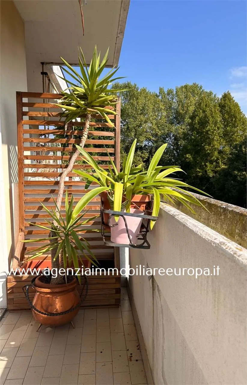 Appartamento in vendita a Padova, Guizza, Crocifisso, Ponte Quattro Martiri, Voltabarozzo, Salboro - foto 2