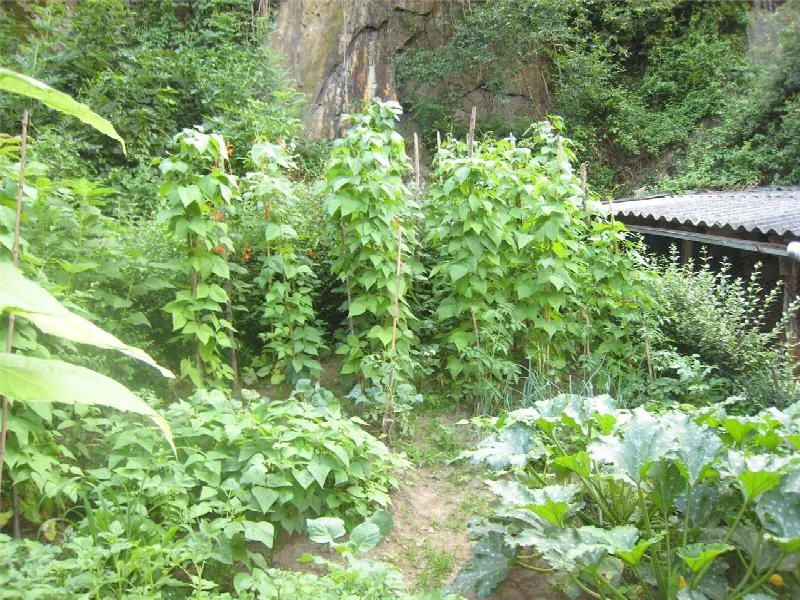 Rustico/Casale in vendita a Piedimulera - foto 7
