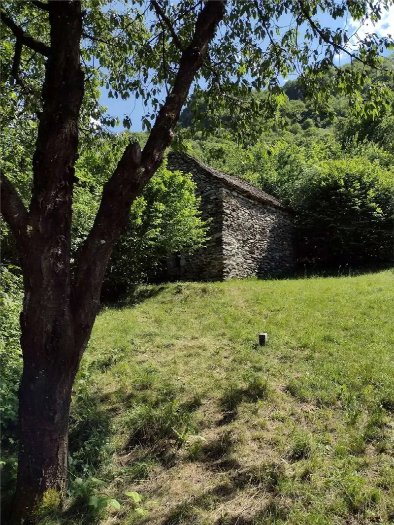 Casa Indipendente in vendita a Pieve Vergonte - foto 2