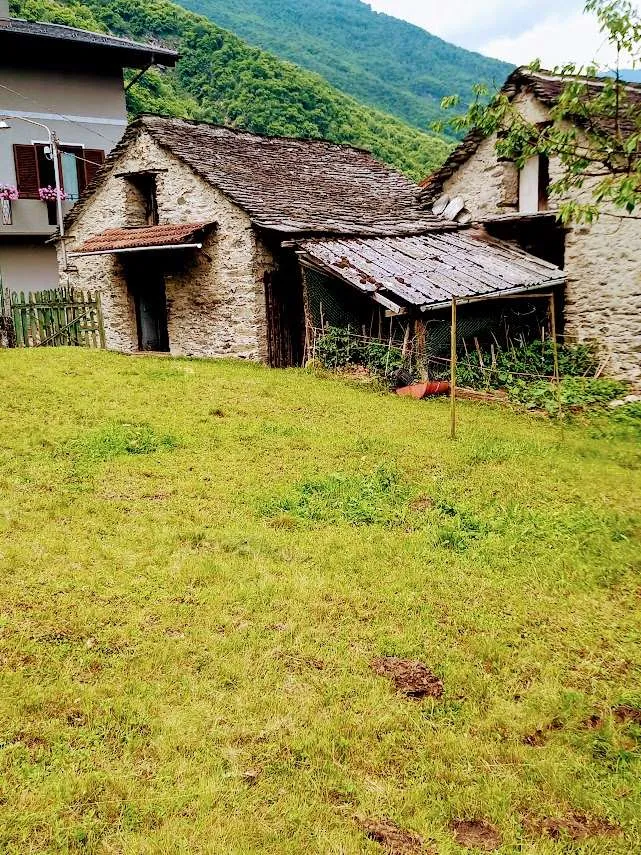 Rustico/Casale in vendita a Pieve Vergonte - foto 2