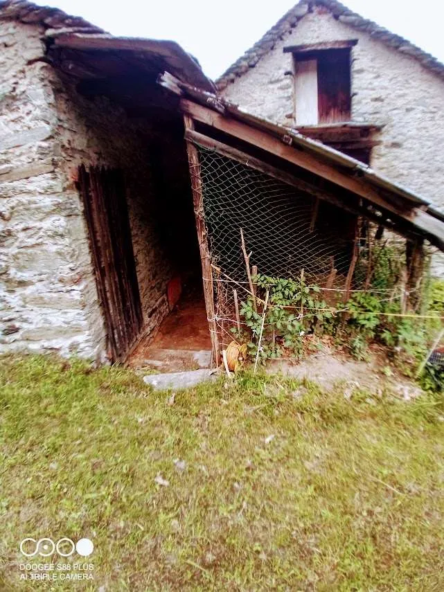 Rustico/Casale in vendita a Pieve Vergonte - foto 3