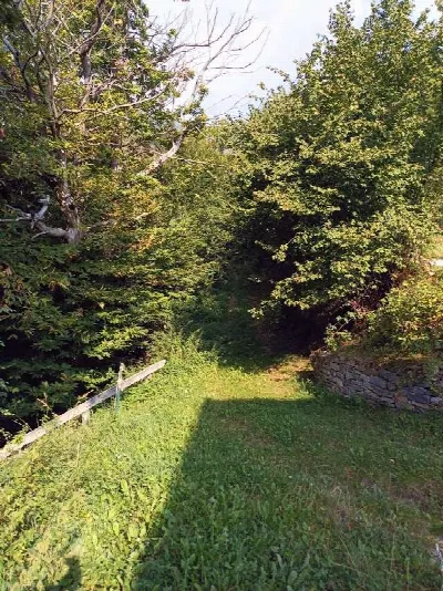 Rustico/Casale in vendita a Druogno - foto 6