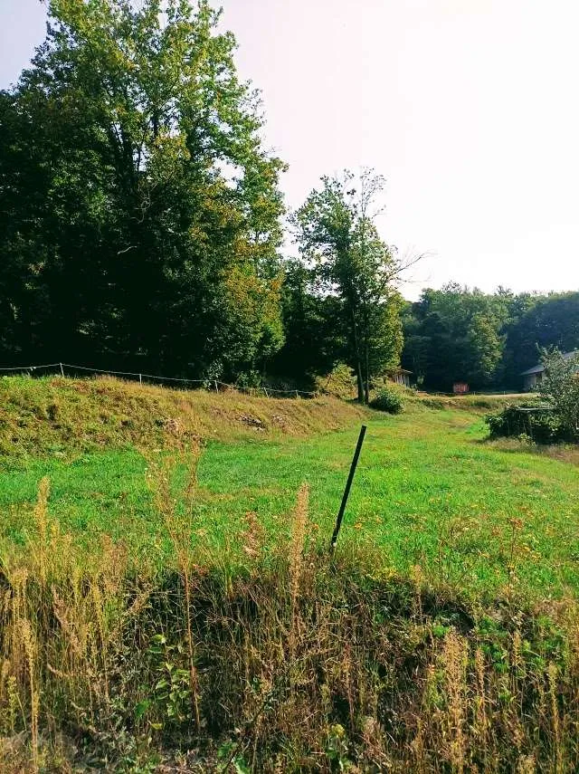 Rustico/Casale in vendita a Druogno - foto 8