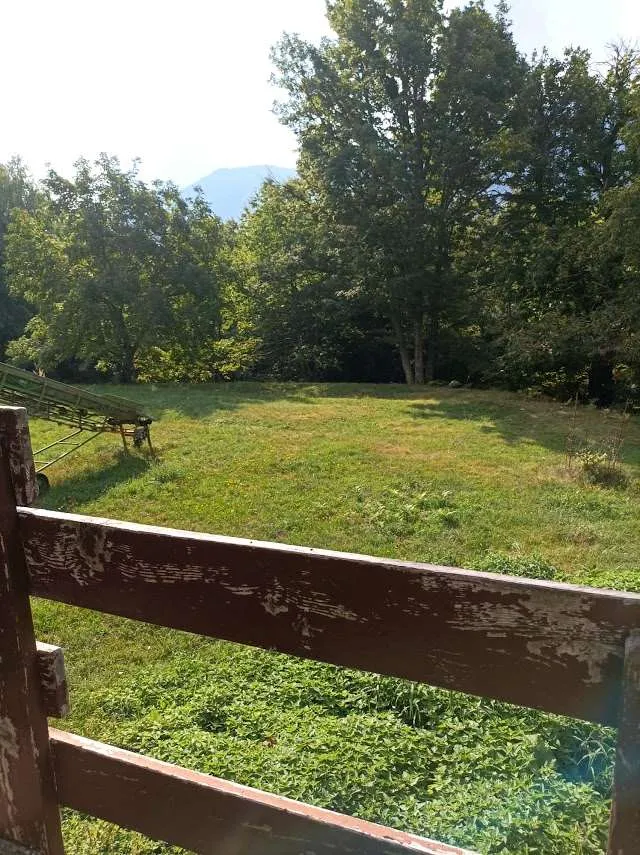 Rustico/Casale in vendita a Druogno - foto 9