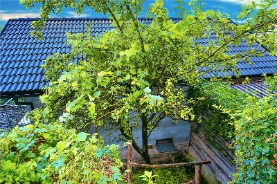Casa Indipendente in vendita a Beura-Carde... - foto 3