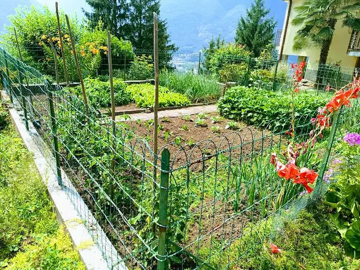 Casa Indipendente in vendita a Beura-Cardezza - foto 3