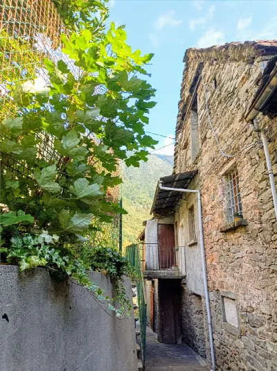 Rustico/Casale in vendita a Varzo - foto 9