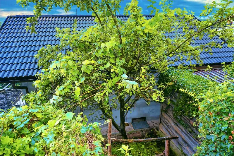 Casa Indipendente in vendita a Beura-Cardezza - foto 6