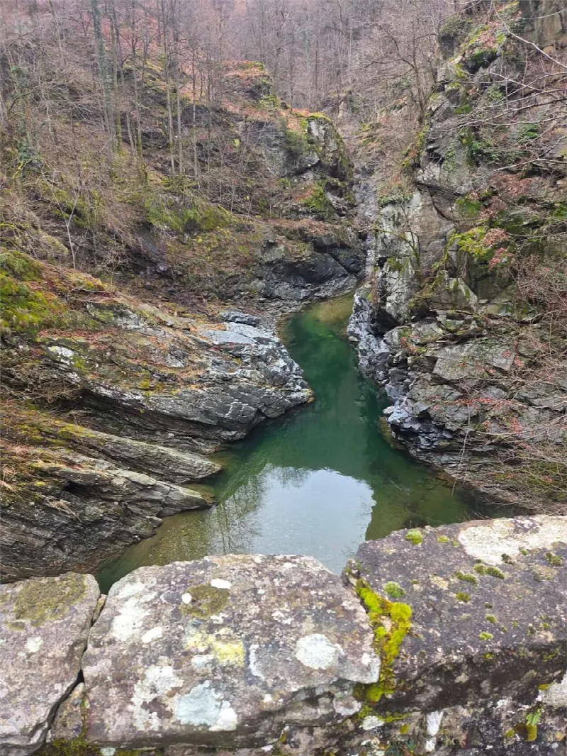 Rustico/Casale in vendita a Calasca-Castiglione - foto 1