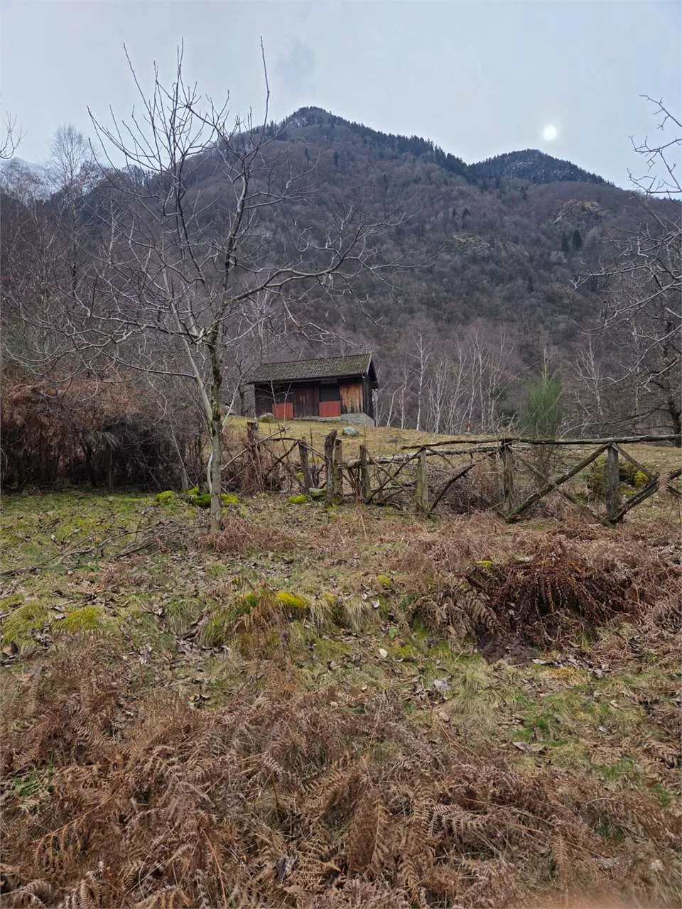 Rustico/Casale in vendita a Calasca-Castiglione - foto 4