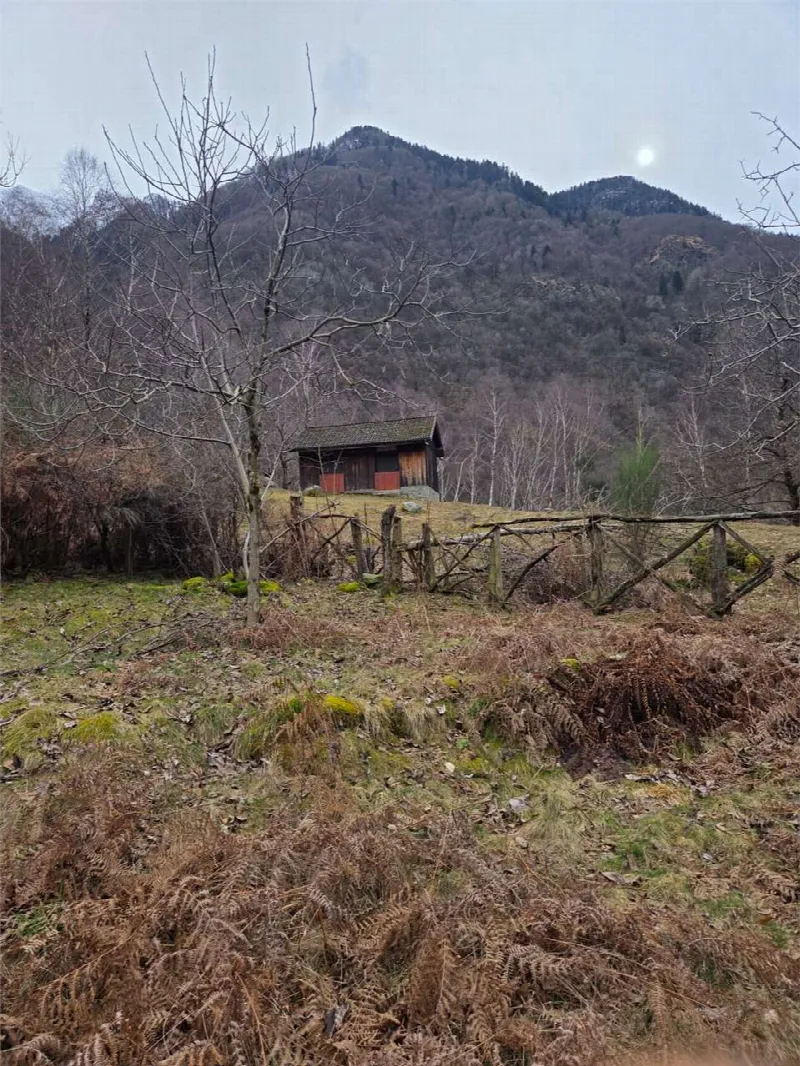 Rustico/Casale in vendita a Calasca-Castiglione - foto 4