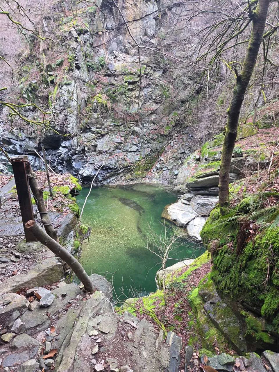 Rustico/Casale in vendita a Calasca-Castiglione - foto 5
