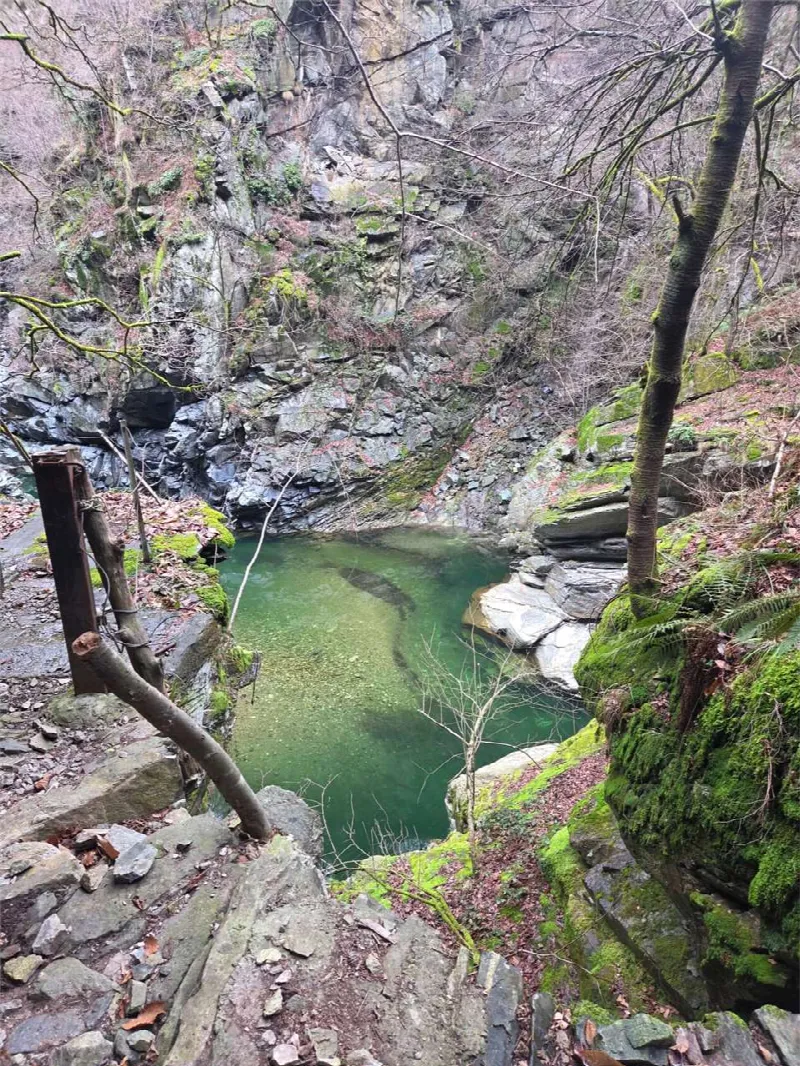 Rustico/Casale in vendita a Calasca-Castiglione - foto 5