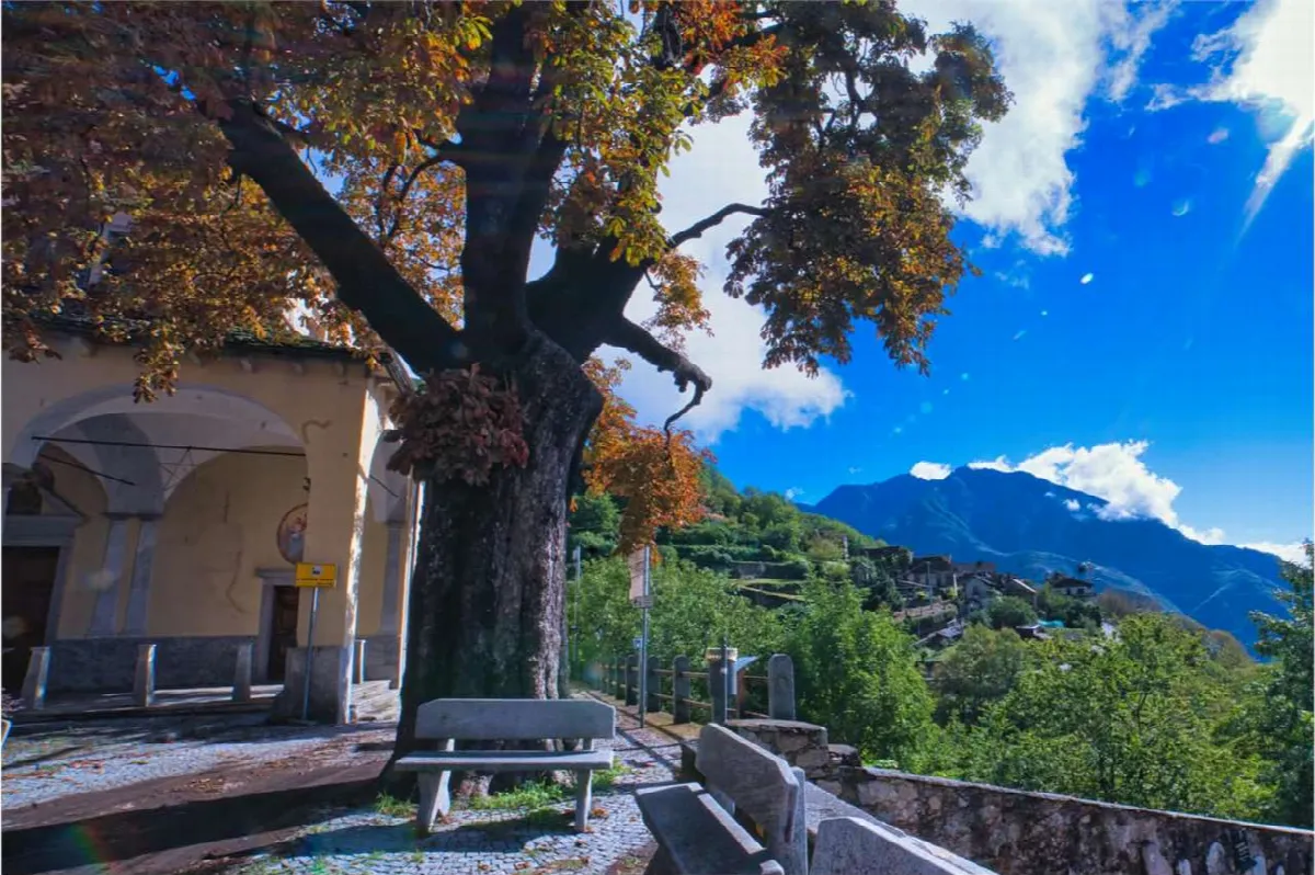 Casa Indipendente in vendita a Piedimulera - foto 3