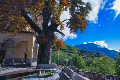 Casa Indipendente in vendita a Piedimulera - foto 3