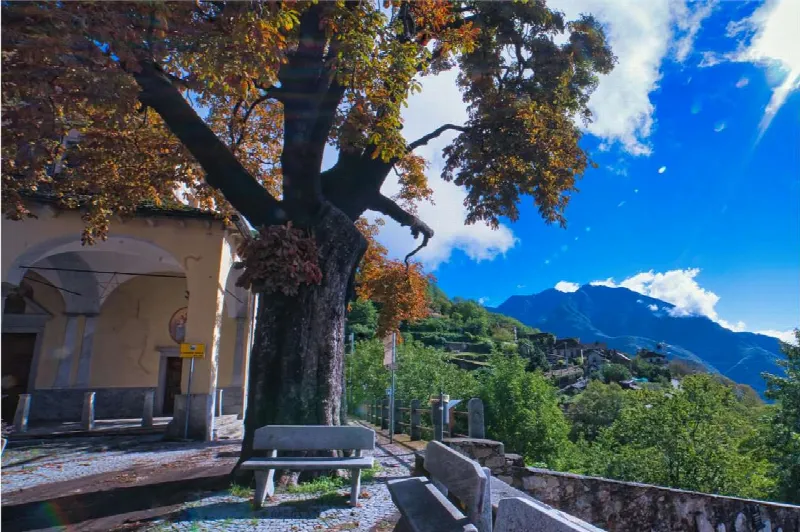 Casa Indipendente in vendita a Piedimulera - foto 3