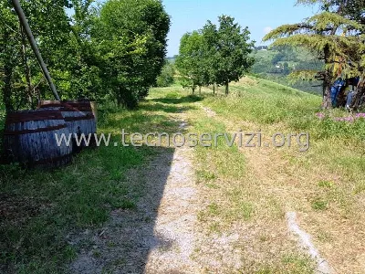 Casa Indipendente in vendita a Savignano s... - foto 7