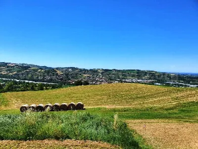 Villetta a schiera in vendita a Savignano ... - foto 2