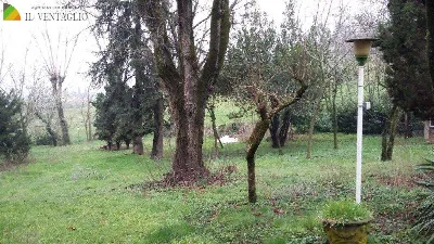 Villa in vendita a Casalgrande - foto 3