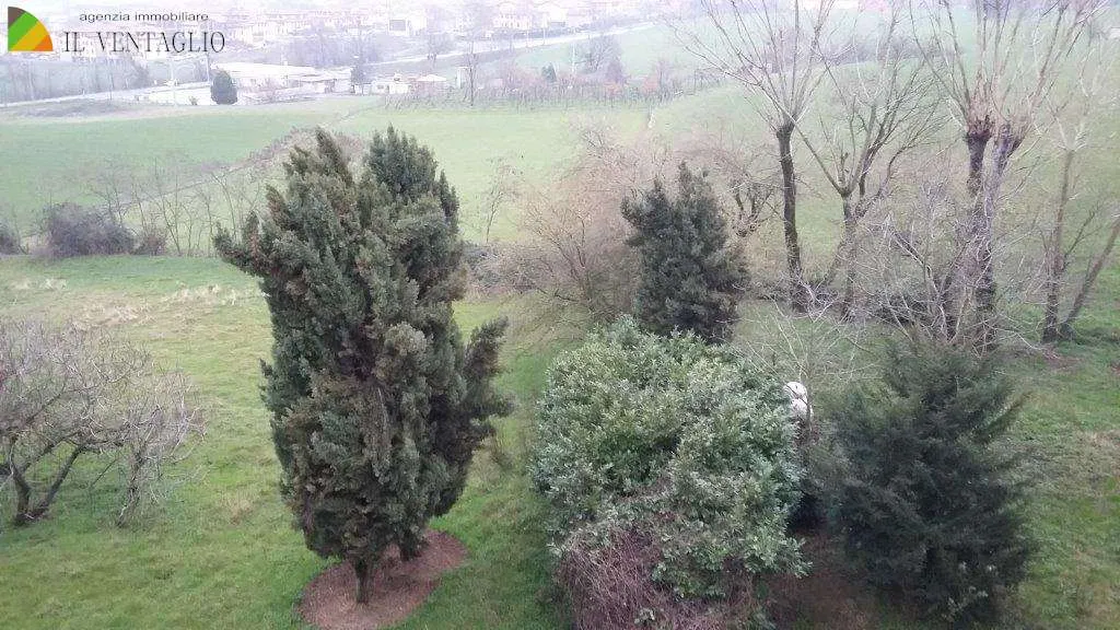 Villa in vendita a Casalgrande - foto 4