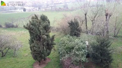 Villa in vendita a Casalgrande - foto 4