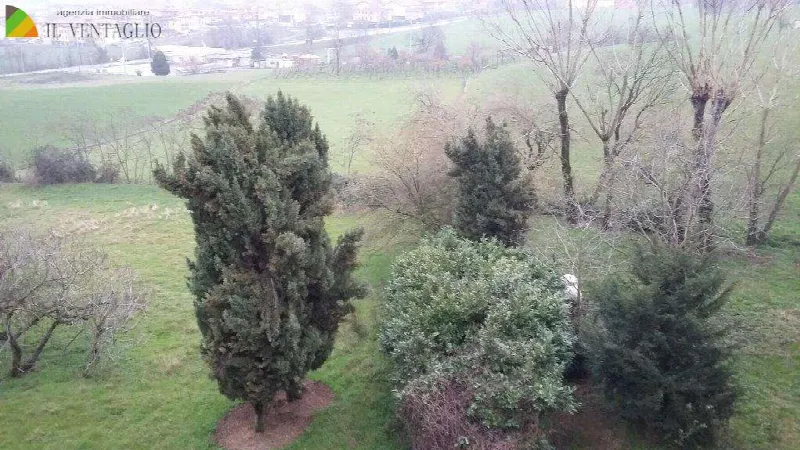 Villa in vendita a Casalgrande - foto 4
