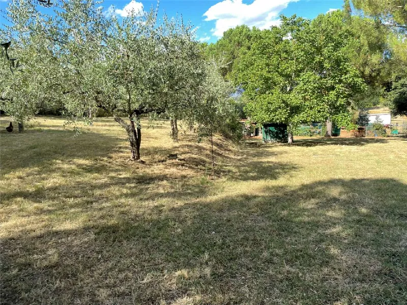 Casa Indipendente in vendita a Sinalunga - foto 6