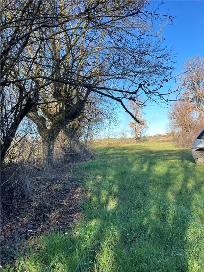 Rustico/Casale in vendita a Marciano della... - foto 7