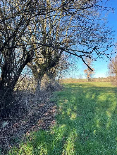 Rustico/Casale in vendita a Marciano della... - foto 8