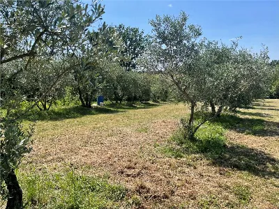 Casa Indipendente in vendita a Marciano de... - foto 10