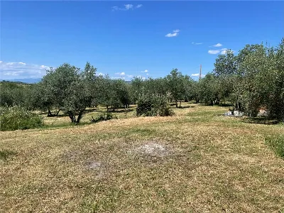 Casa Indipendente in vendita a Marciano de... - foto 9