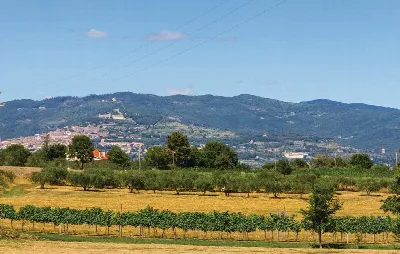 Rustico/Casale in vendita a Cortona - foto 8