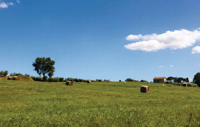Rustico/Casale in vendita a Cortona - foto 9
