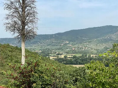 Rustico/Casale in vendita a Castiglion Fio... - foto 6