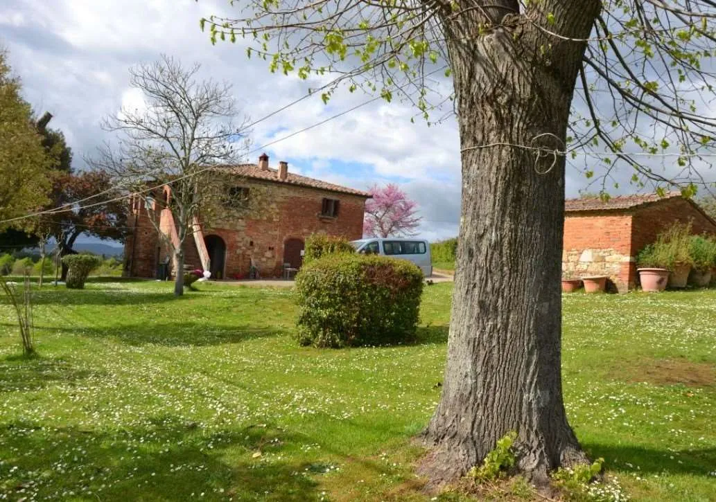 Rustico/Casale in vendita a Lucignano - foto 3