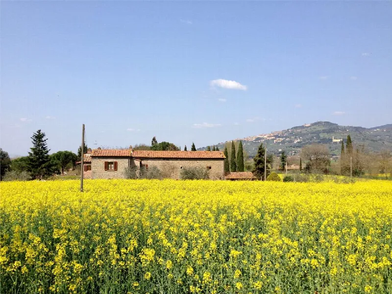 Rustico/Casale in vendita a Cortona - foto 2