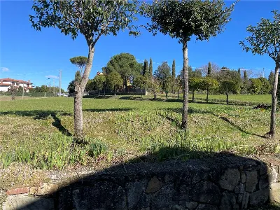 Rustico/Casale in vendita a Lucignano - foto 5
