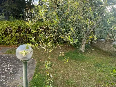 Villa in vendita a Foiano della Chiana - foto 9
