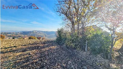 Rustico/Casale in vendita a Santa Maria Nu... - foto 6