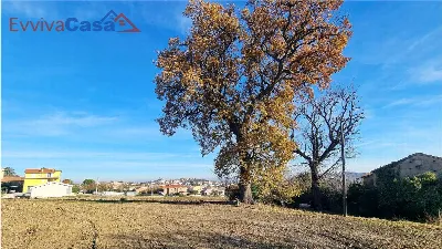 Rustico/Casale in vendita a Santa Maria Nu... - foto 7