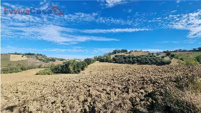 Rustico/Casale in vendita a Santa Maria Nu... - foto 5