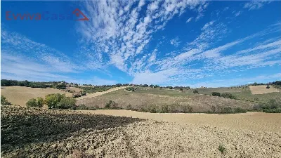 Rustico/Casale in vendita a Santa Maria Nu... - foto 6